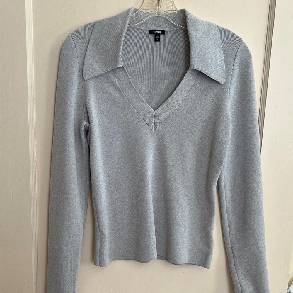 Express Light Gray V-Neck Collared Long Sleeve Top